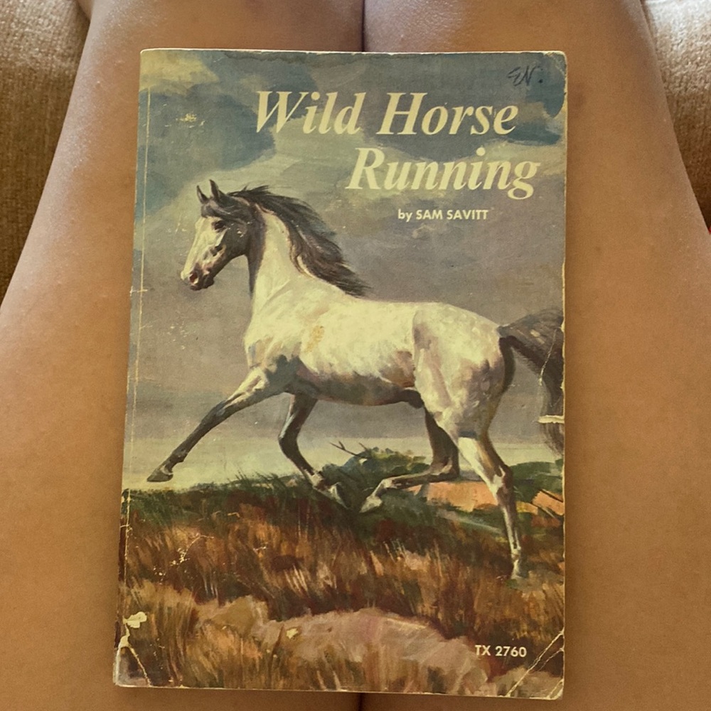 “Wild Horse Running” book